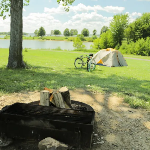 A campsite under the trees at Camp Branch campground