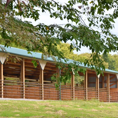 Campsites at Crows Creek campground